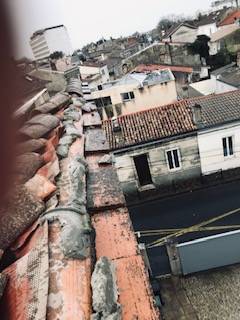 IMG_0642.jpg